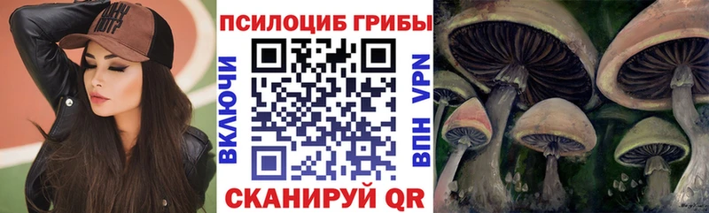 Галлюциногенные грибы Psilocybe  Купить  Богучар 